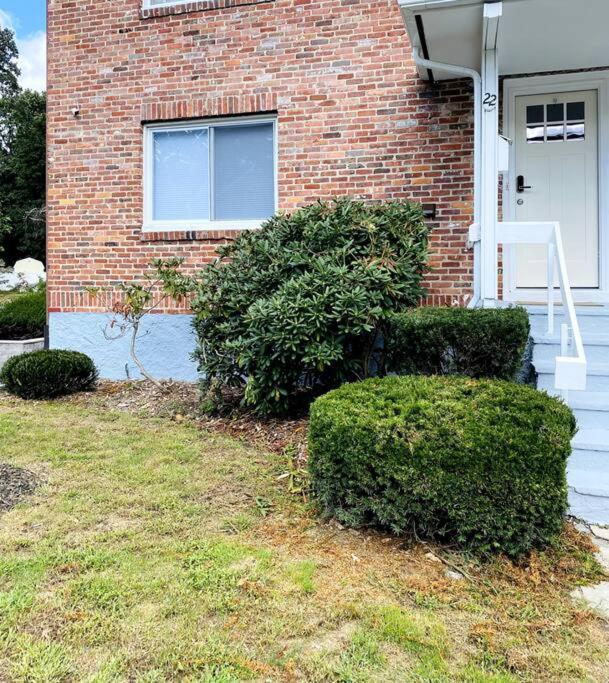 Cozy Getaway Apartment! Free Parking Appartement